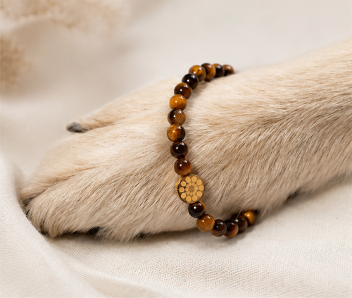 Tigerauge Armband